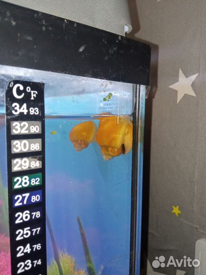 Украшение для аквариума