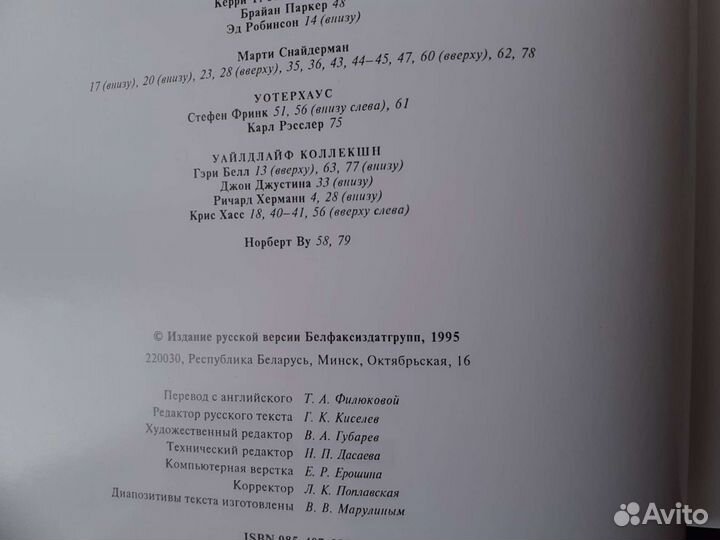 Книги про акул