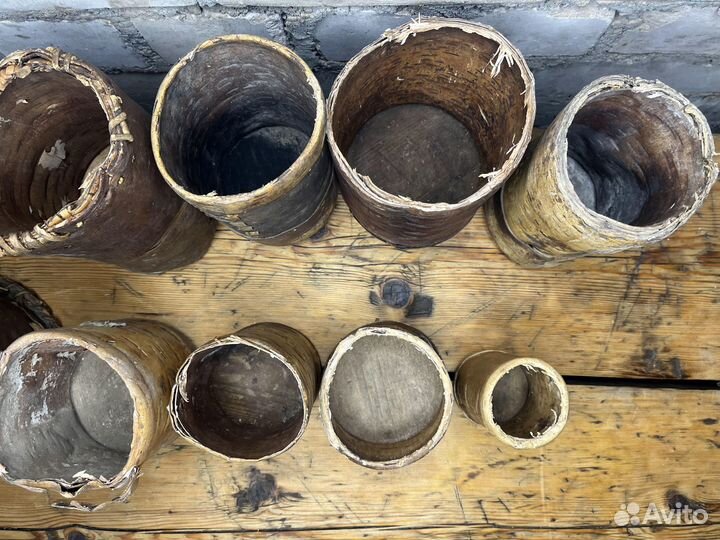 Туяса Берестяное Плетение 2