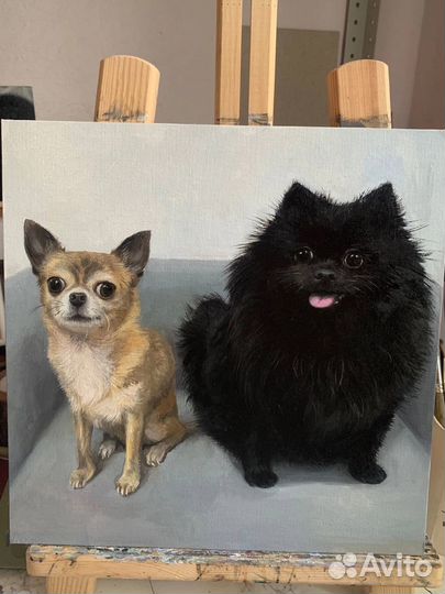 Картина маслом на заказ портрет собаки, кота