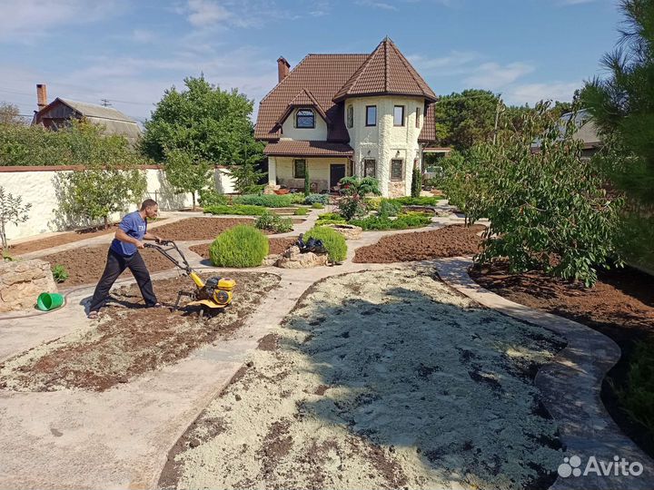 Рулонный газон