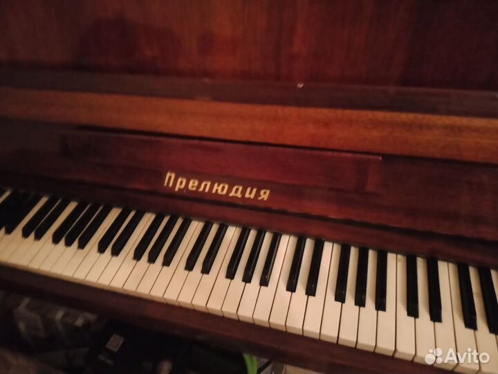 Фортепиано Прелюдия
