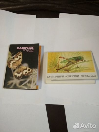 Бабочки