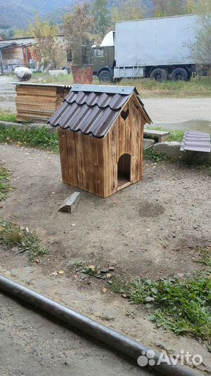 Будка пёсика