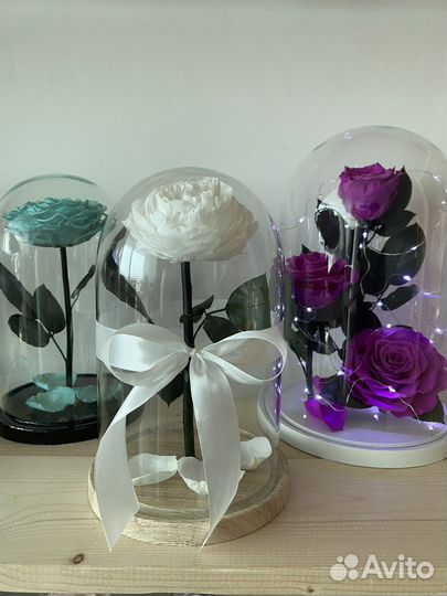 Роза в колбе в наличии от производителя