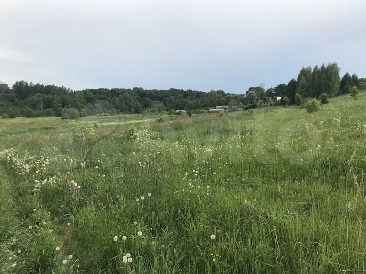 Участок 3,2 га (СНТ, ДНП)