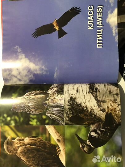 Книги для детей и подростков