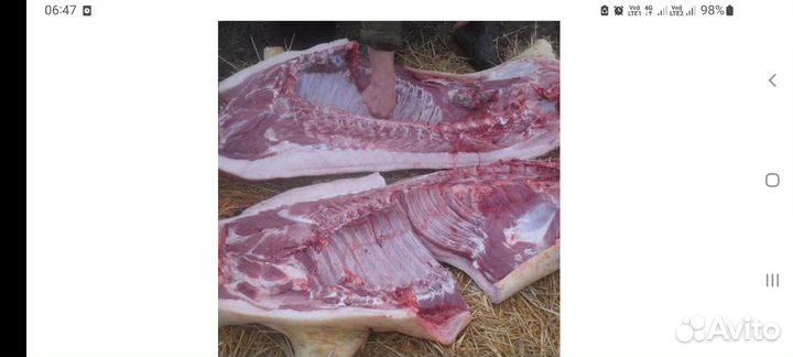 Мясо свинина домашняя