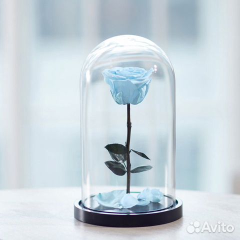 Вечная роза в колбе