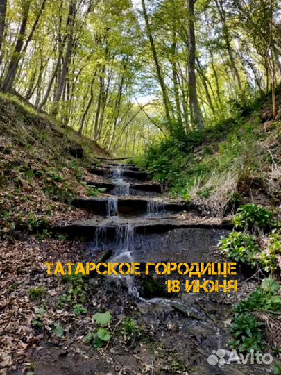 Поход на Татарское городище