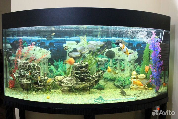 Аквариум