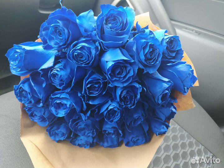 Розы, синие розы 25 шт