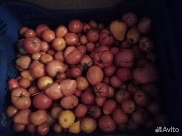 Помидоры огурцы и многое другое