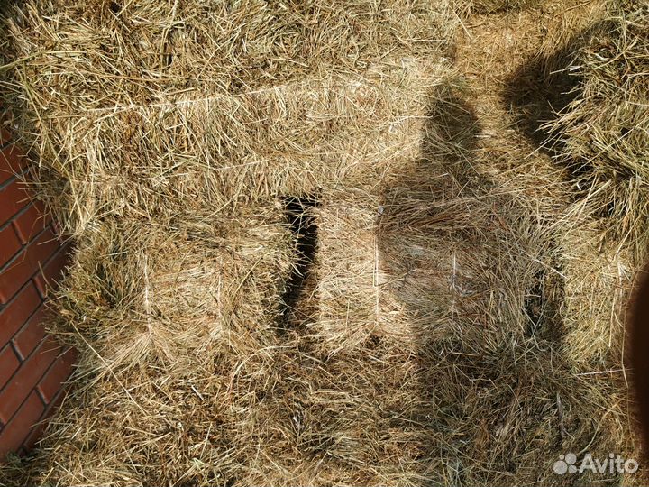 Сено в тюка разнотравье, люцерну