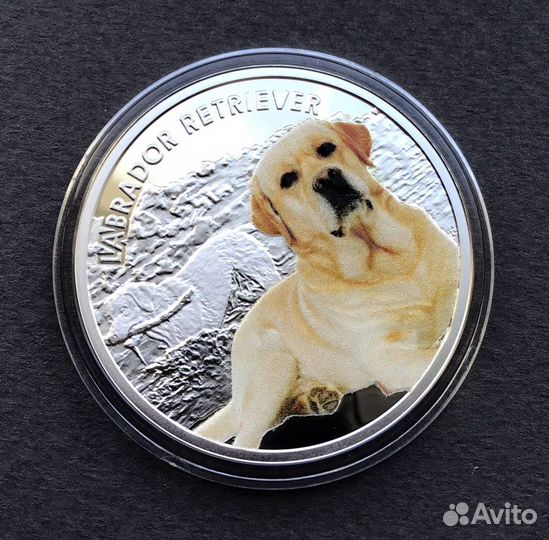 Серебро лабрадор в футляре с сертификатом