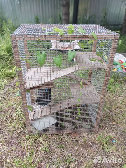 Клетка для шиншиллы