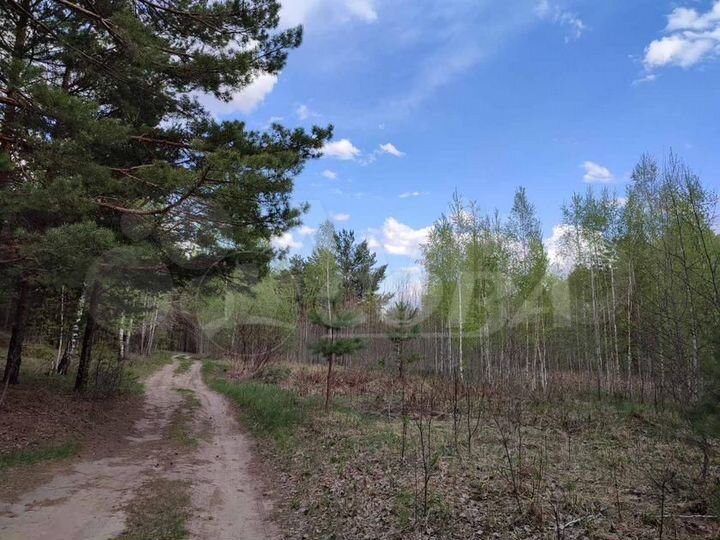 Участок 22,6 га (СНТ, ДНП)