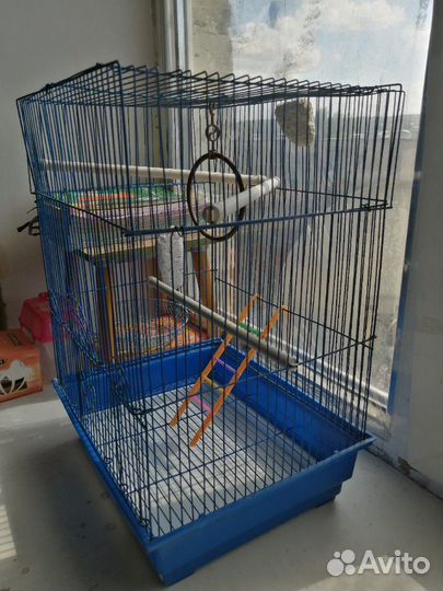 Клетка