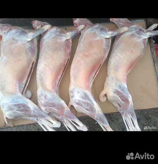 Баранина свежая