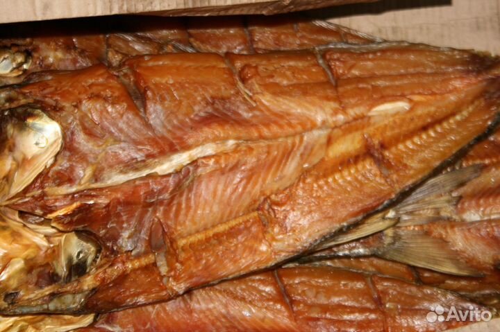 Толстолобик, жерех х/к