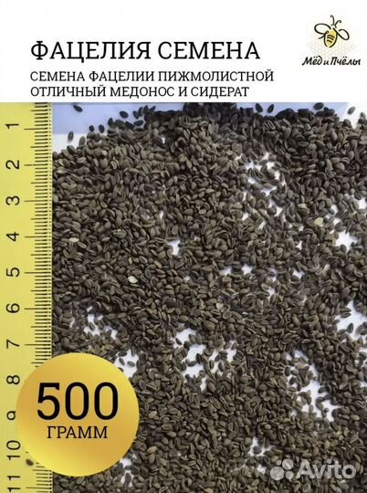 Семена фацелии