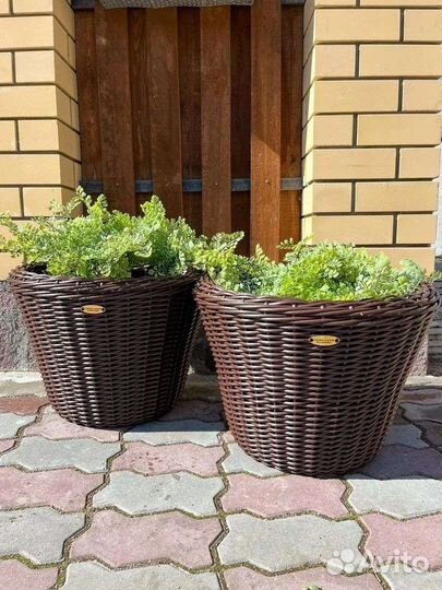 Кашпо из ротанга для цветов в наличии