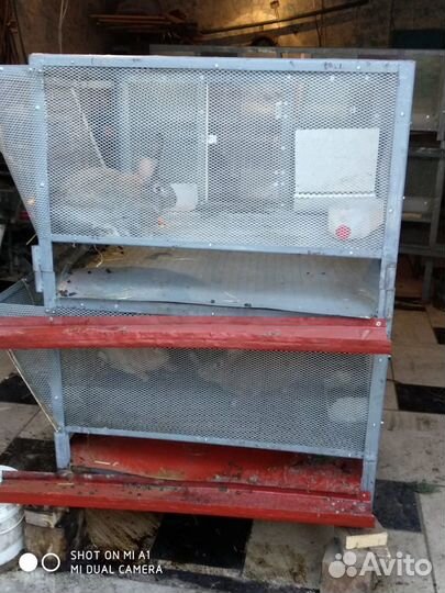 Клетка для кроликов