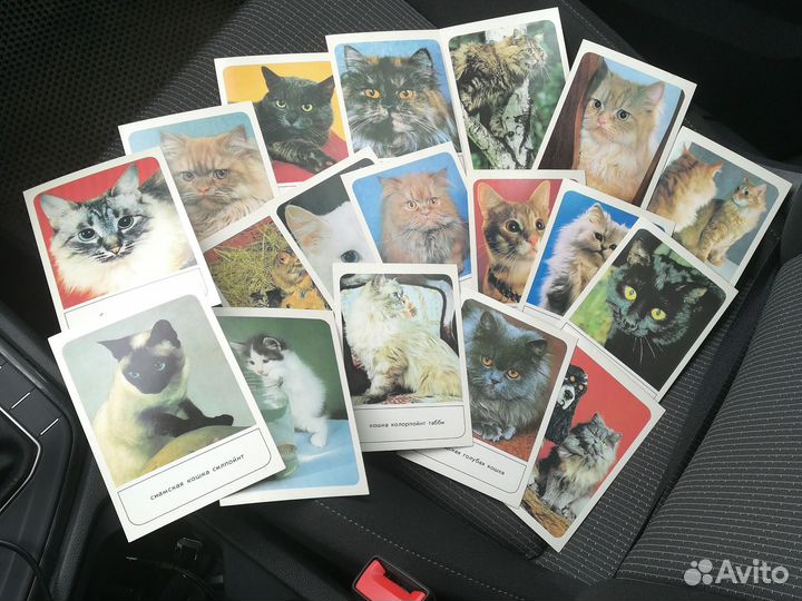 Набор открыток 