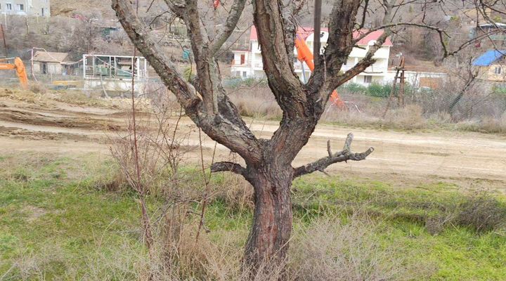 Участок 12 сот. (ИЖС)