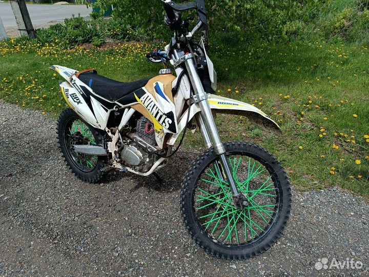 Avantis fx250 lux