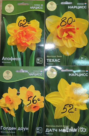 Тюльпан. Нарцисс. Гиацинт. Крокус