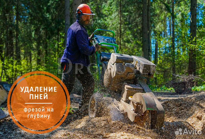 Обрезка, удаление, валка и спил деревьев в Михнево