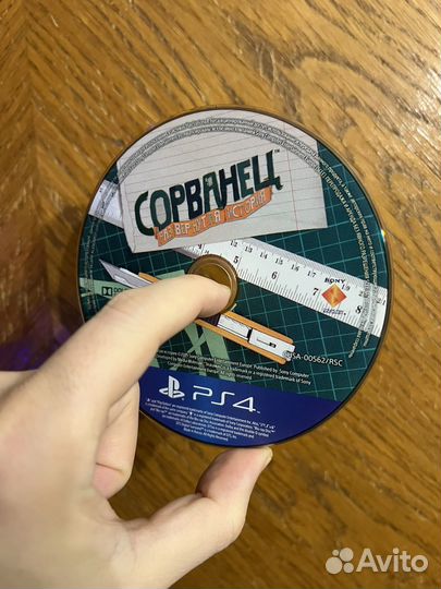 Сорванец (Terraway) PS4