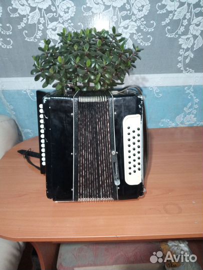 Гармонь тульская ля-мажор