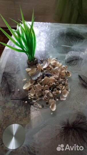 Аквариум для рыбок