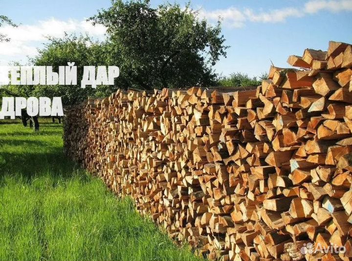 Дрова