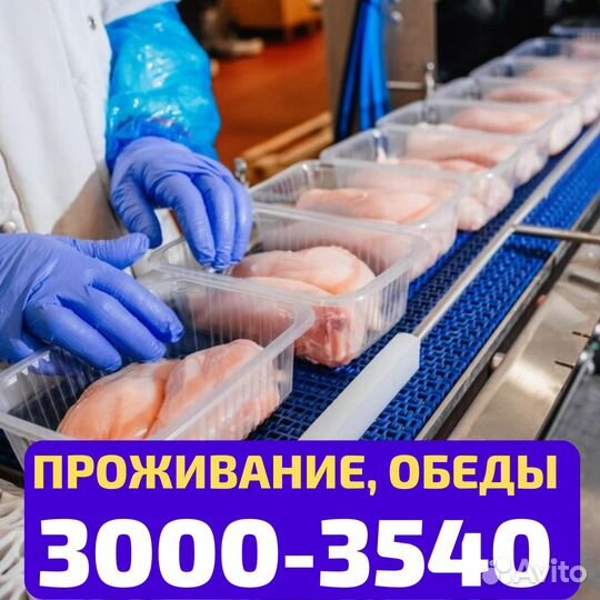 Выезд из Бугуруслана, вахта упаковщик