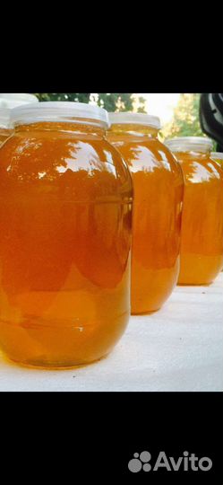 Мед цветочный