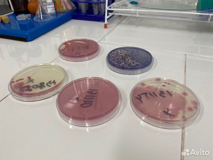 Химический анализ воды в Казани