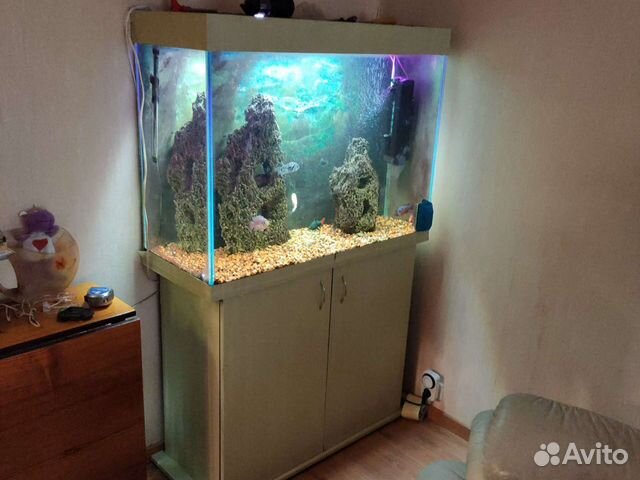 Аквариум
