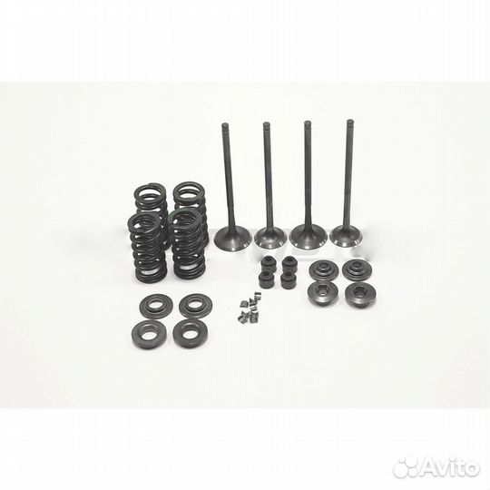 Клапаны CB300P 174YMN (комплект 4 шт. полный набо