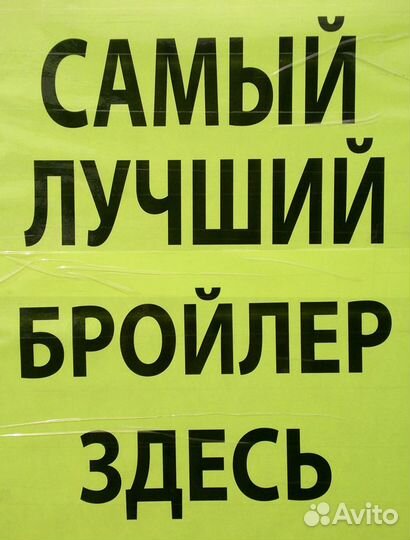 Бройлеры росс