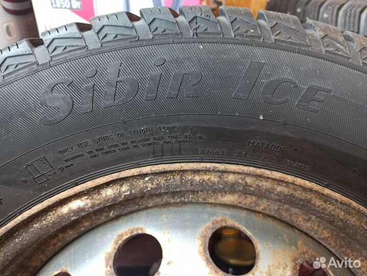 Matador MP 50 Sibir Ice 195/65 R15