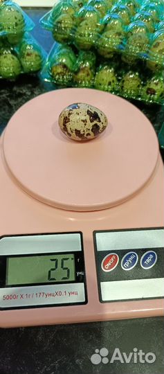 Яйца перепелиные