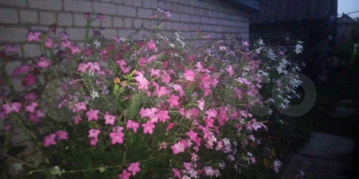 Участок 3,7 сот. (ИЖС)