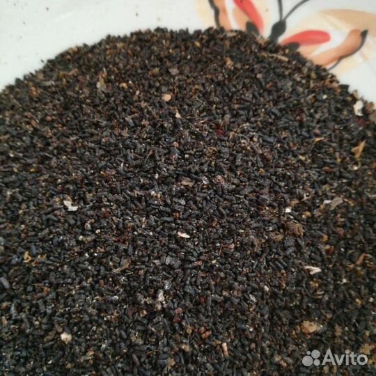 Пжвм восковой моли (огневка пчелиная)