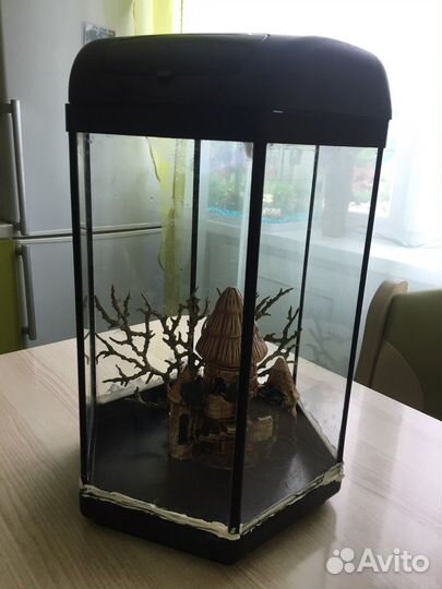 Аквариум