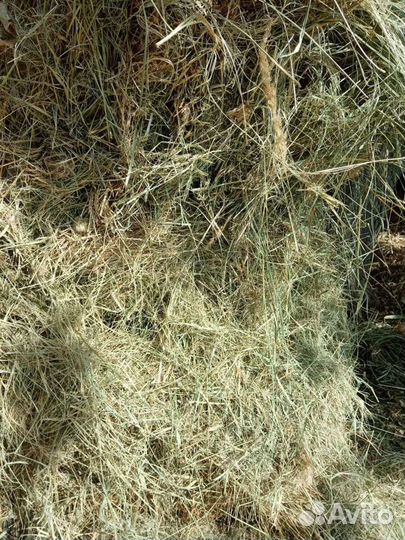 Сено,Солома и люцерна в тюках