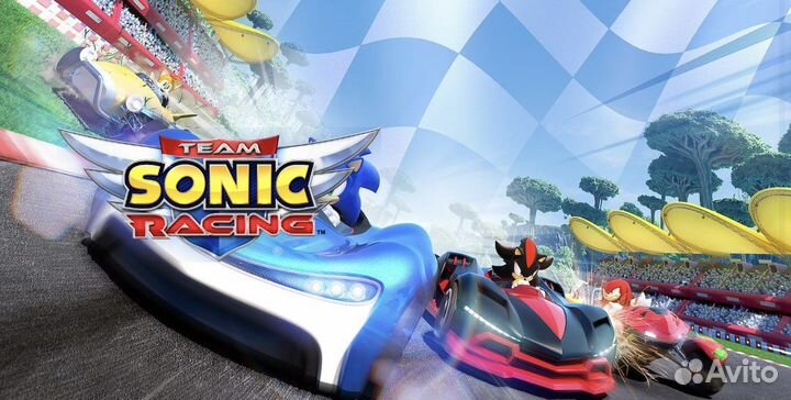 Team Sonic Racing для PS4&PS5