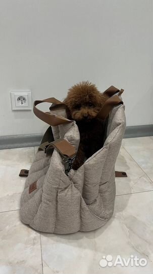 Сумка-переноска-автокресло